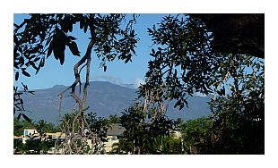 Kihei Kai Nani Unit 252 Mountain View