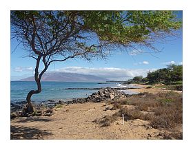 Kihei Shoreline walking path Kihei Maui Shoreline walking path