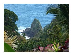 Jurrasic Park Movie Rock Maui